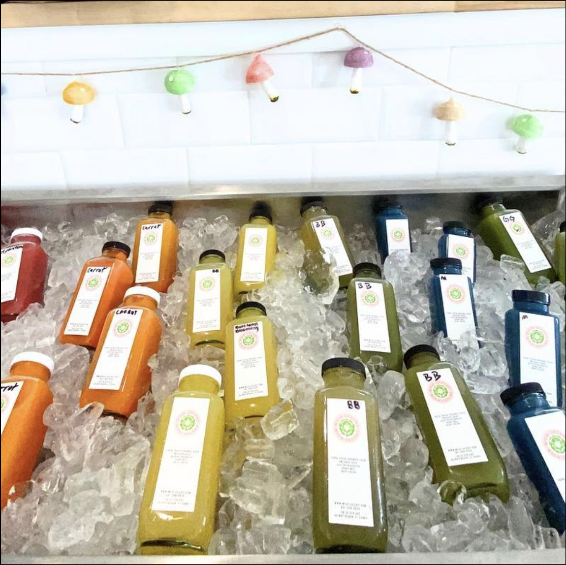 Wild Celery Juice in Cooler